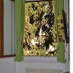 Green Spot
